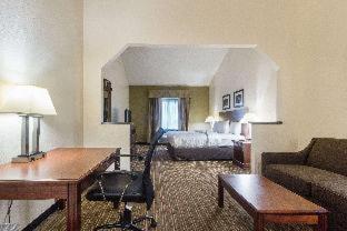 Quality Inn & Suites West Chase, Houston (photo 8)