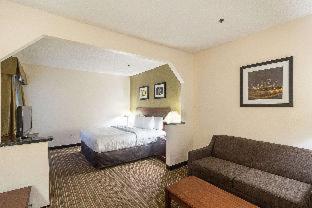 Quality Inn & Suites West Chase, Houston (photo 9)