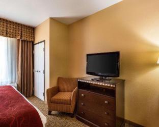 Comfort Suites Pearland - South Houston