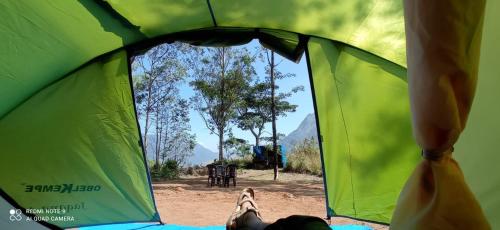 Mathikettan Shola Camp Munnar