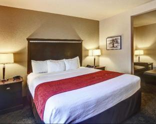 Comfort Suites Arlington - Entertainment District