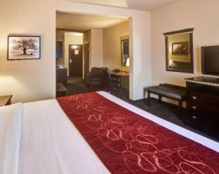 Comfort Suites Arlington - Entertainment District