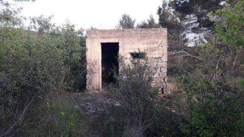 Casa Lola - image 12