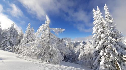 Chalet Verdino