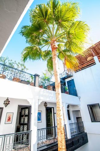 Riad Makila - image 5