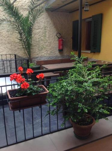 Il Patio