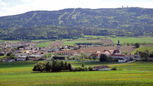 Gasthof Zum Wirt Ferienwohnung Hohenbogenblick