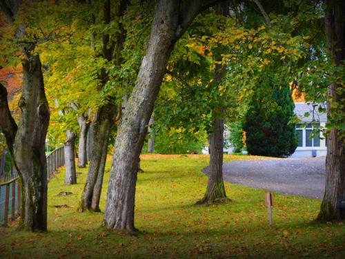 The Speyside Hotel - image 13