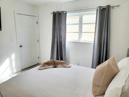 Stylish & Newly-Renovated Suites near Las Olas, Fort Lauderdale (zdjęcie 6)