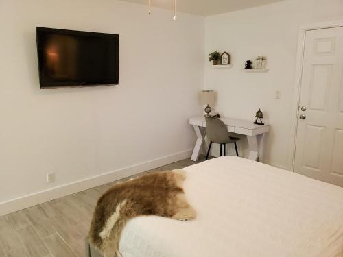 Stylish & Newly-Renovated Suites near Las Olas, Fort Lauderdale (zdjęcie 7)