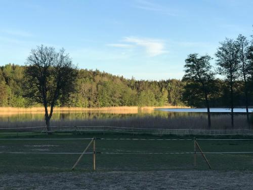 Nice holiday house at horse farm with lake and sauna