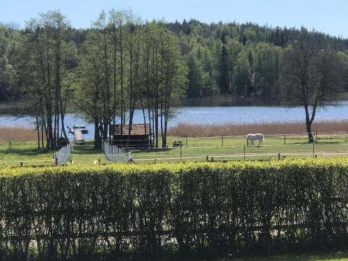 Nice holiday house at horse farm with lake and sauna in Nyköping