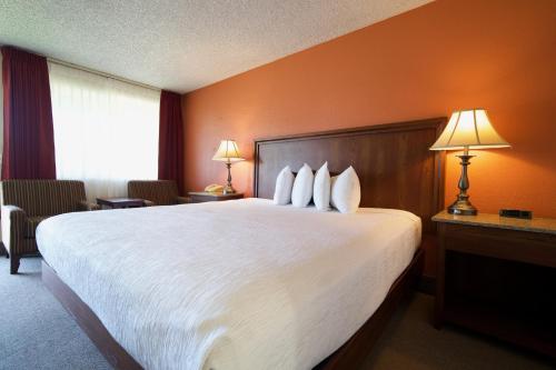 Village Inn - image 12