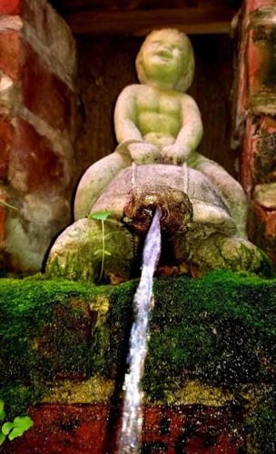 The Courtyards - image 3