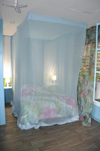 an eol caraibes in Trois-Rivieres