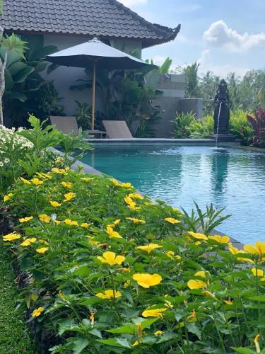 Paraiso Cottage Ubud