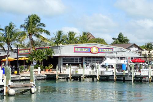 Conch Adventure