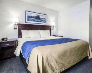 Comfort Inn Bellingham