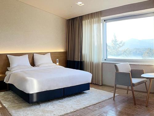 스위트 호텔 경주 (The Suites Hotel Gyeongju) 실제 이용후기 및 할인 특가