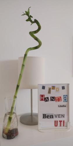 Hannagiulia chambre d'hôte Ceronda