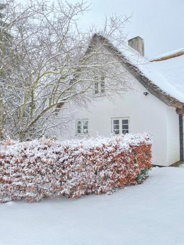 Apple Cottage