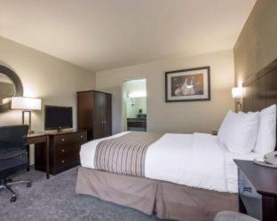 Rodeway Inn Convention Center, Los Angeles (foto 10)