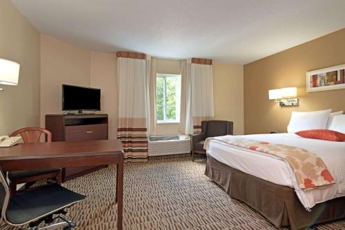MainStay Suites Detroit Auburn Hills Hawthorn Suites by Wyndham is a popular choice amongst travelers in Auburn Hills (MI), whether exploring or just passing through. Featuring a complete list of amenities, guests will find their stay at