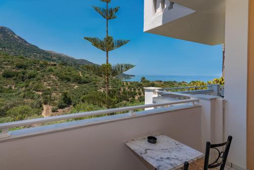 Matilda Hotel - image 5