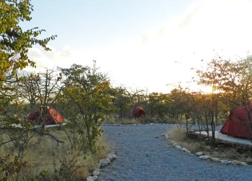 Etosha Village Campsite Outjo