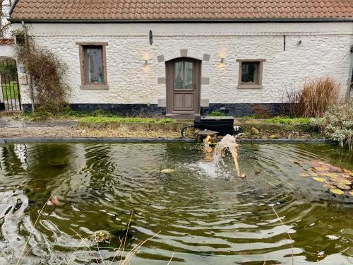  Cense de Lalouette in Saint-Ghislain