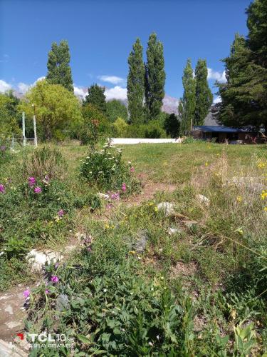 Κήπος, La Chacha in El Salto (Mendoza)