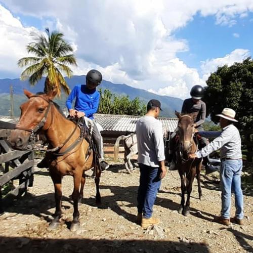 Rock Forest Glamping Finca agroecologica El Balsal