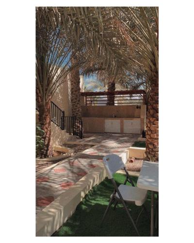 Bidiya oasis in A'Sharqiyah Sands (Wahiba)