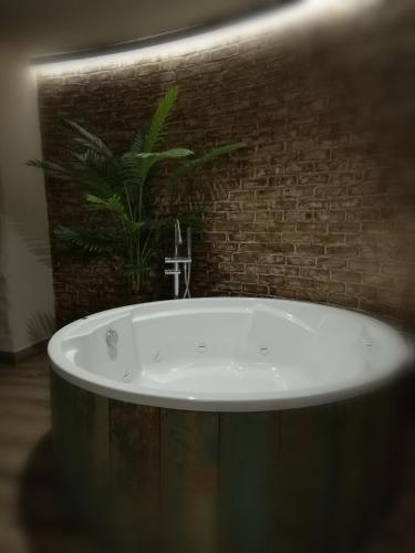Alvarado Loft Rural