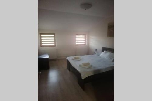 Large Vacation Apartment in Poiana Brasov