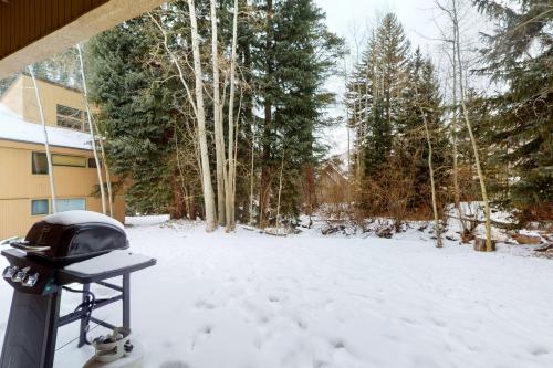Pitkin Creek Park - main image