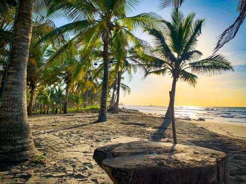 Playa Jaguar - Beach Club