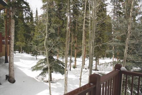 White Wolf #890 - Great Home with Private Outdoor Hot Tub - Shuttle to Slopes - Breckenridge