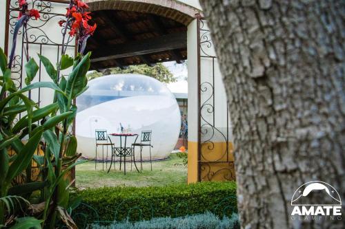 . Glamping Amate - Hotel Burbuja Tlaxcala