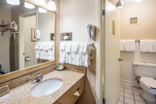 Double Room with Two Double Beds and Atrium View - Non-Smoking/Pet Friendly