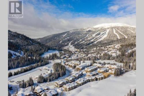 Zola Retreat- RARE Luxury Ski in/out *Hot tub, BBQ, Double heated garage*