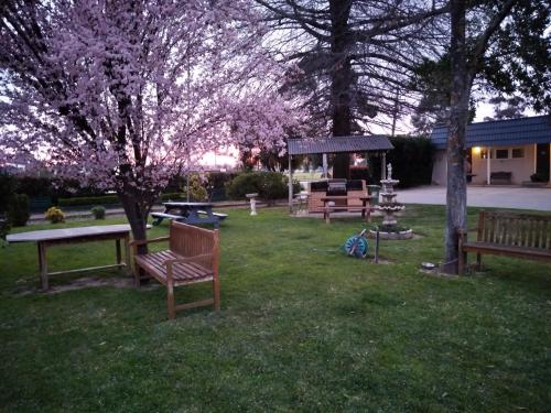 Faciliteiten, City Park Motel and Apartments near Wagga Wagga Airport