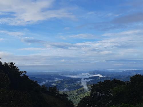 GlenMyu Estate