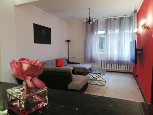 TOP CENTER spacious apartment with free parking, София (фото 11)