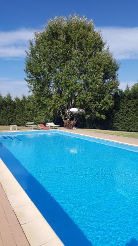 Eurhotel - image 7