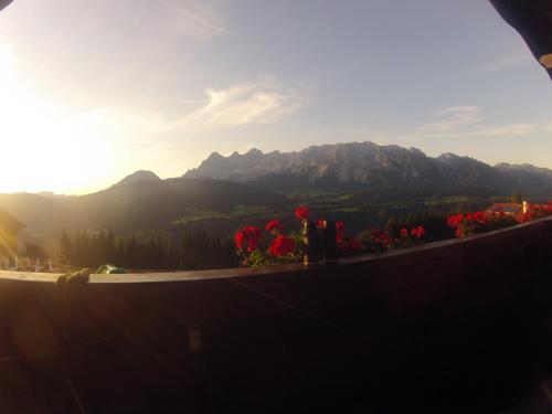 Appartements Wilma - Apartment - Schladming