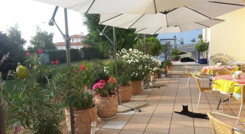 สวน, Das Mittelpunkt in มอร์บิสช์ แอม เซ