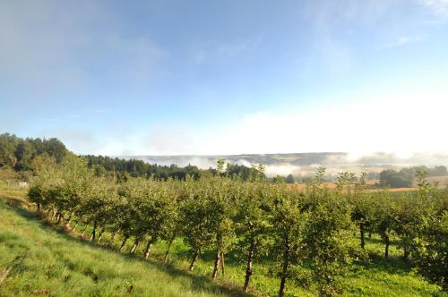 Hotel-Restaurant Teuschler-Mogg - image 8