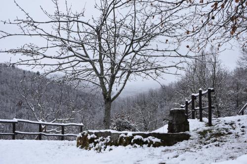 Casa Titina Riposo e Relax nella campagna toscana