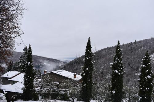 Casa Titina Riposo e Relax nella campagna toscana